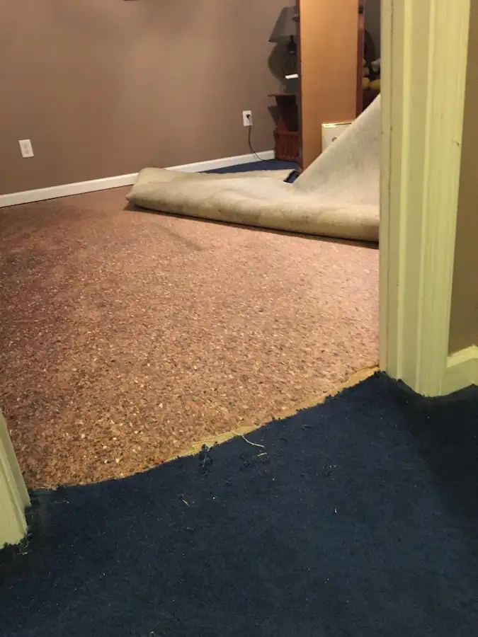 Carpet pad removal revealing water damage during Drying & Dehumidification in Brooksville