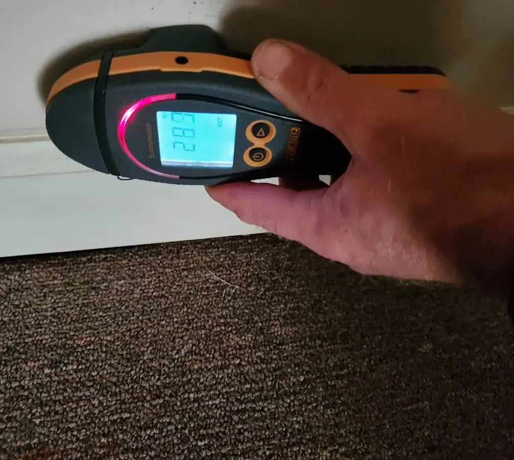 Moisture detection at baseboard during Sewage Cleanup & Sanitation in Brooksville